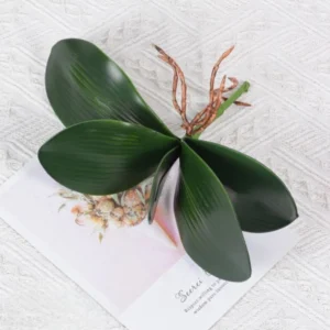 Daun Anggrek Latex Untuk Anggrek Jumbo Articial Minimalis Home