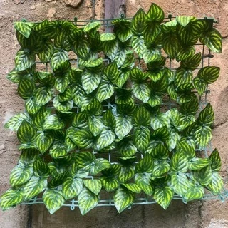 Daun Anggur Dinding 50x50 Rambat Roll Rumput Pagar Tanaman Plastik Ivy Srigading Artificial 50x50 - Gambar 3