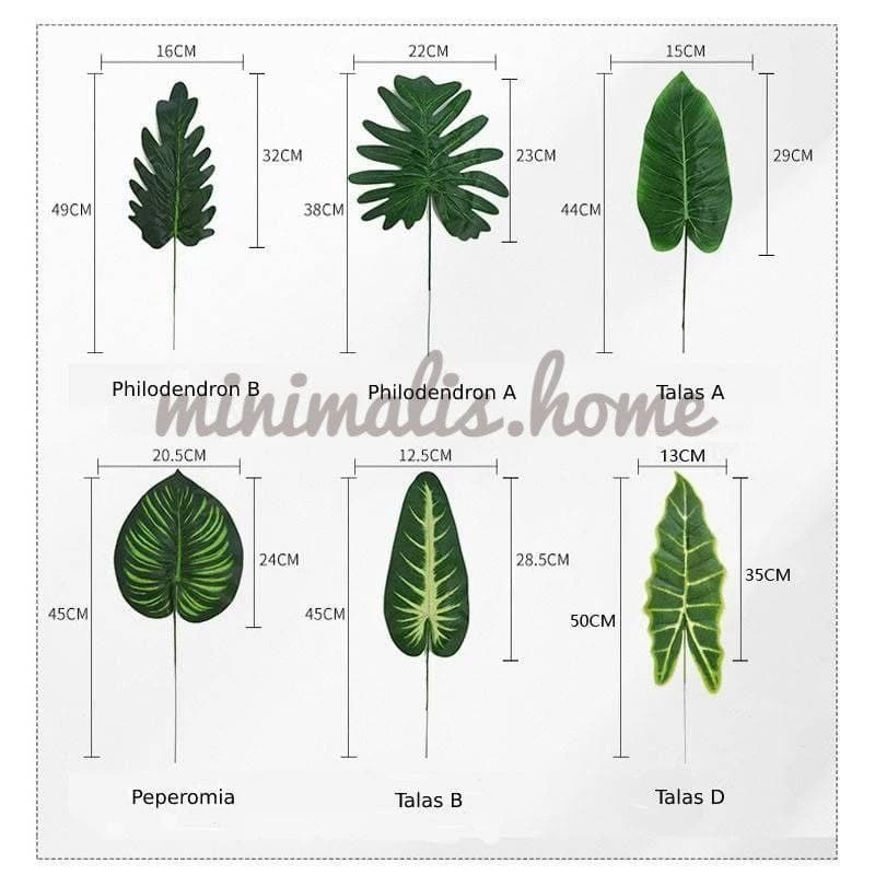 Daun Talas Palem Peperomia Philodendron Monstera Varian Mix - Gambar 2