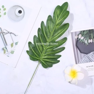 Daun Talas Palem Peperomia Philodendron Monstera Varian Mix - Gambar 4