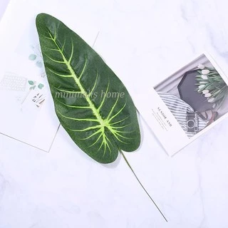 Daun Talas Palem Peperomia Philodendron Monstera Varian Mix - Gambar 3