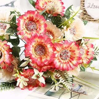 Bunga Gerbera Warna Warni Seperti Bunga Matahari Ukuran Besar - Gambar 2