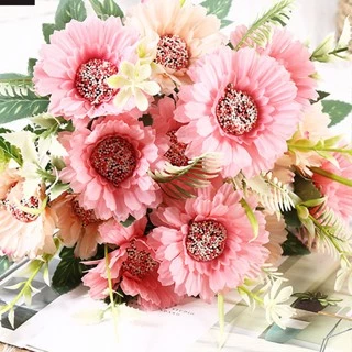 Bunga Gerbera Warna Warni Seperti Bunga Matahari Ukuran Besar - Gambar 3