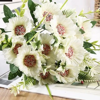 Bunga Gerbera Warna Warni Seperti Bunga Matahari Ukuran Besar - Gambar 4