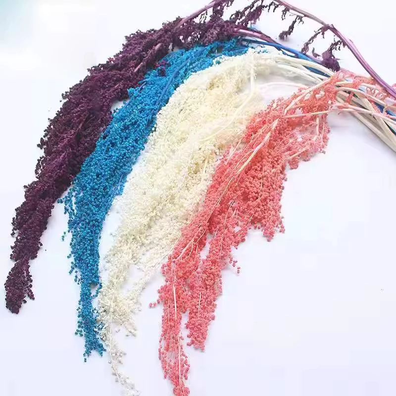 Juntai Akar Bunga Amaranthus Bunga Gantung Artificial Minimalis Home