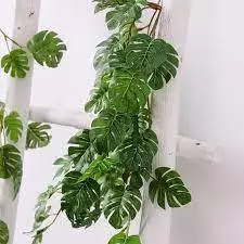 Daun Juntai Sulur Monstera Bambu Bulat Pakis Palem Artificial Sirih Srigading Sulur Plastik Dekorasi