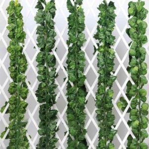 Daun Rambat