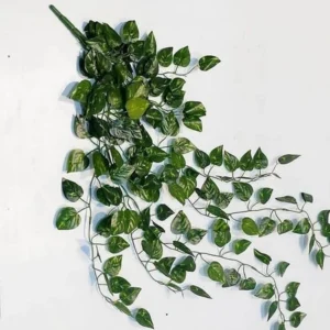 Daun Juntai Sulur Srigading Ivy Anggur Semangka Mangkok Daun Sirih Plastik Dekorasi Ruangan