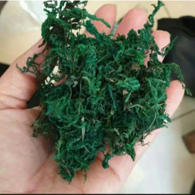 Rumput Lumut Sintetis Artificial Green Moss Kering Untuk Dekorasi Minimalis Home And Decoration
